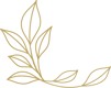 Leaf-Illustration-03